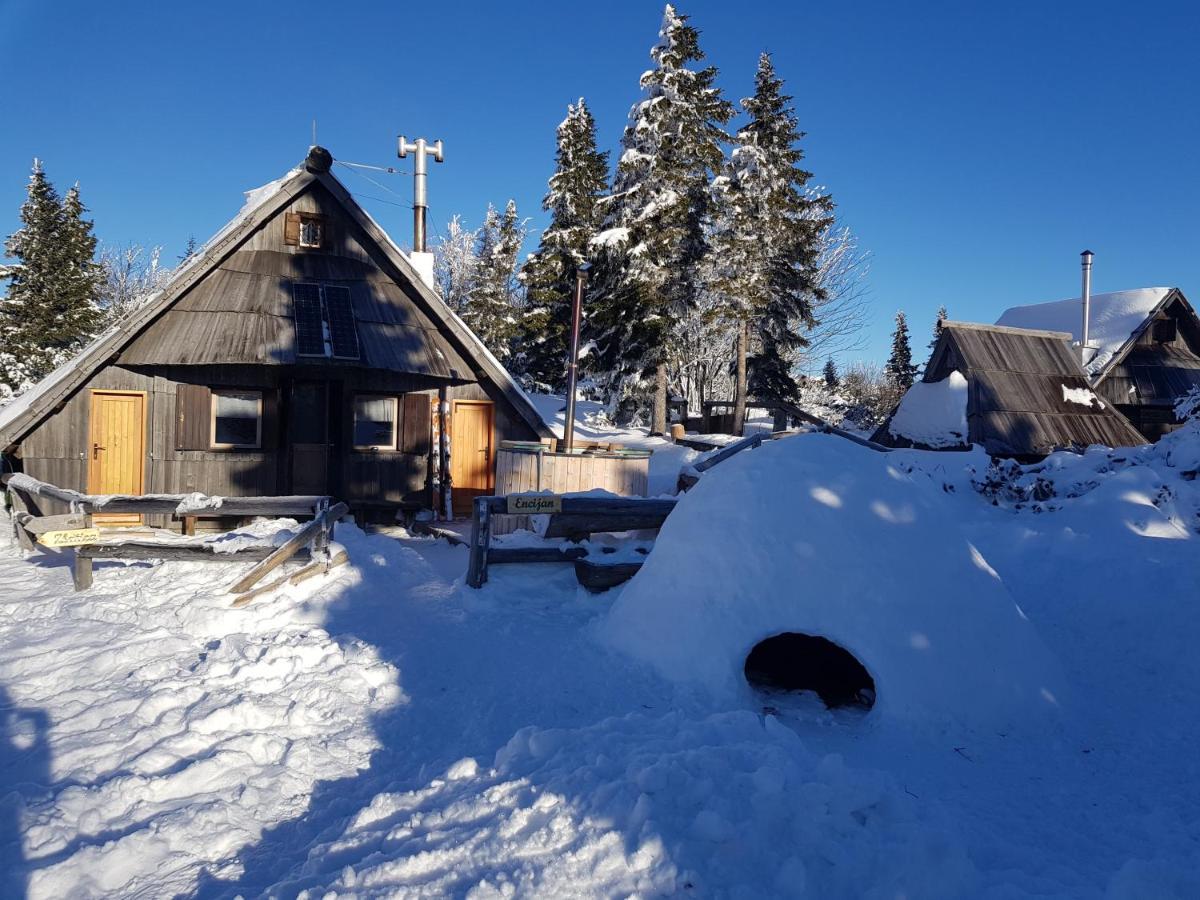 Encijan - Velika Planina Stahovica