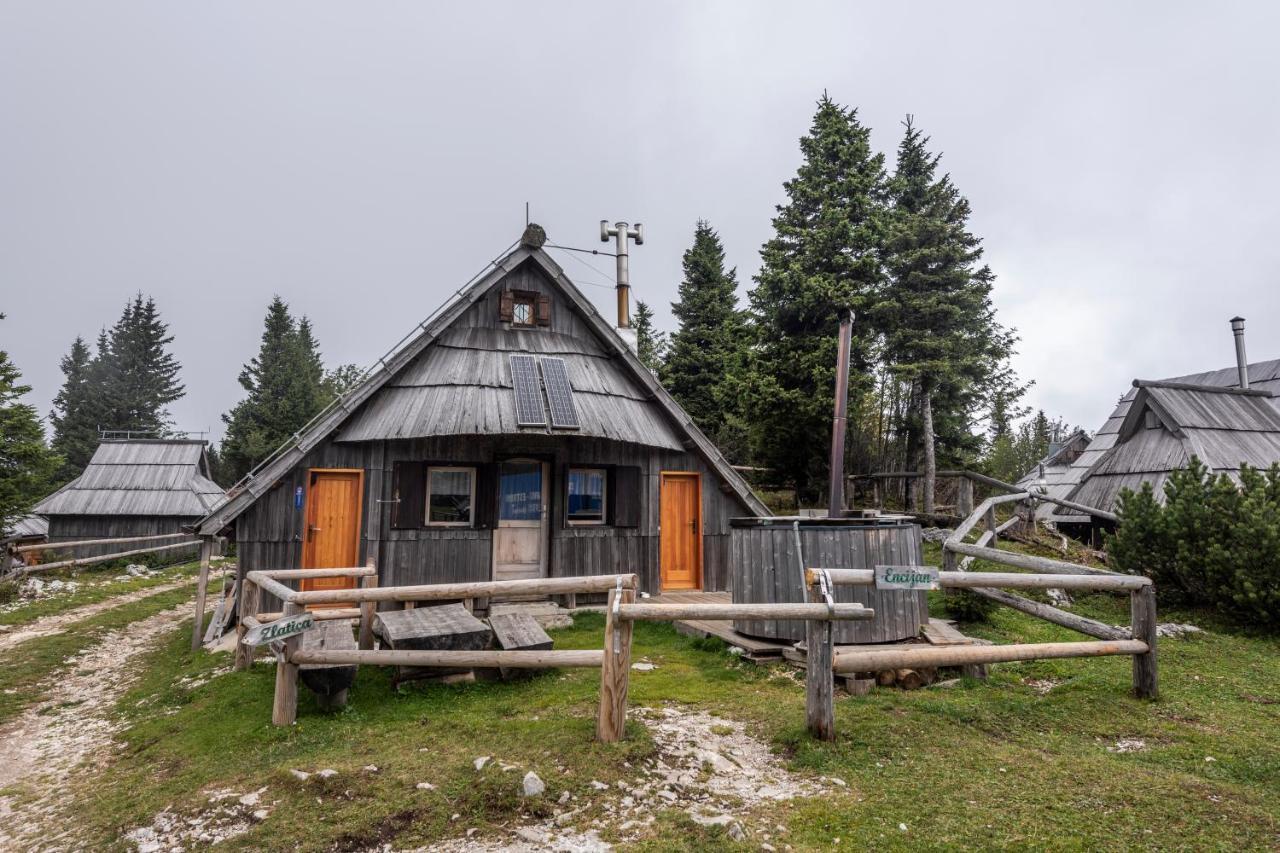 Encijan - Velika Planina *